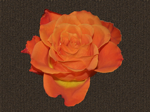 430393 (a): :1600x1200